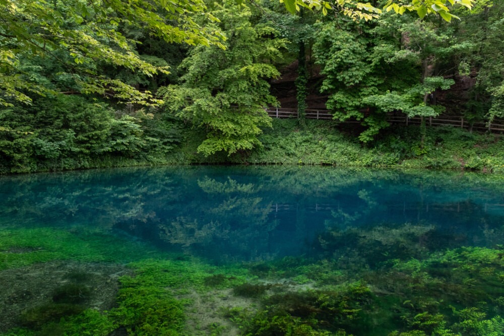 Blautopf und Charlottenhöhle. Eine als See erscheinende Karstquelle, schimmernd in den Farben blau und blau-grün. Im Hintergrund der grüne Wald.